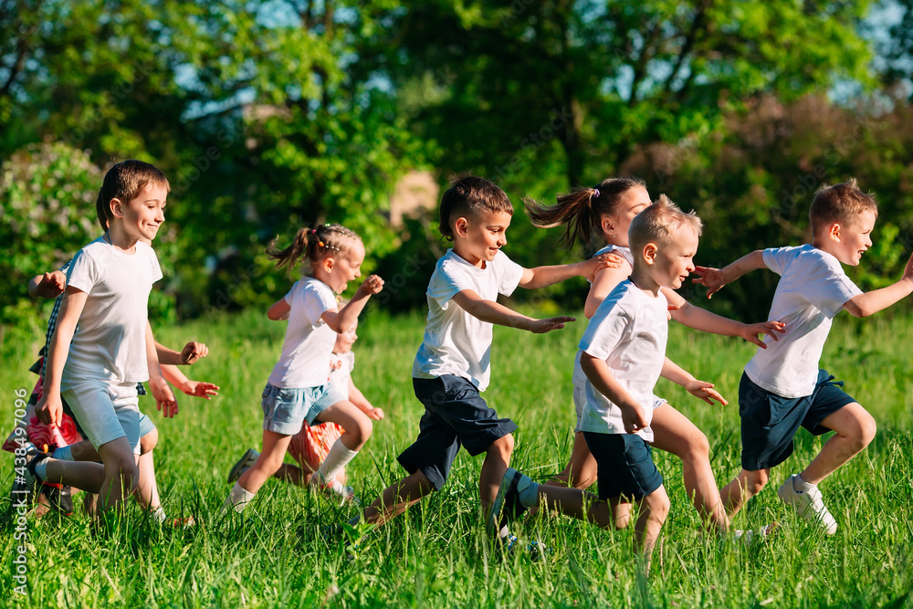 Fototapeta premium A group of happy children of boys and girls run in the Park on the grass on a Sunny summer day.