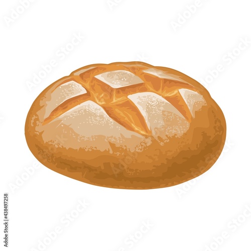 Fototapeta Rye bread. Vector color hand drawn realistic illustration