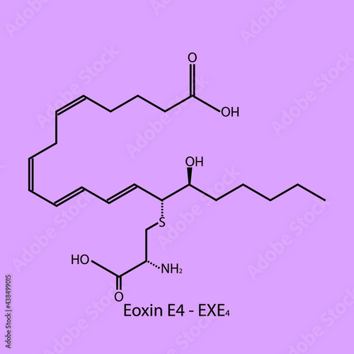Eoxin E4 - Eoxin biomolecule molecular formula. Skeletal molecule structure vector eps10.