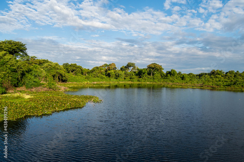 Pantanal - Brazil. Lake and aquatic plants in the Pantanal