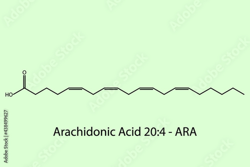 Arachidonic Acid - Omega 6 biomolecule molecular formula. Skeletal molecule structure vector eps10.