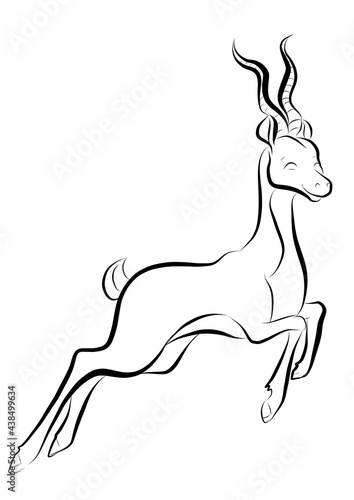 Antilope