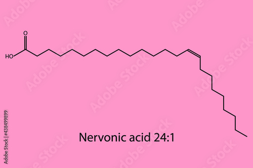 Nernovic Acid - Omega 9 biomolecule molecular formula. Skeletal molecule structure vector eps10.