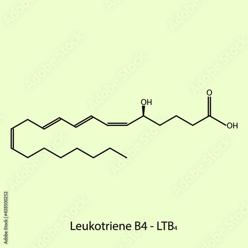 Leukotriene B4 - Leukotriene biomolecule molecular formula. Skeletal molecule structure vector eps10.