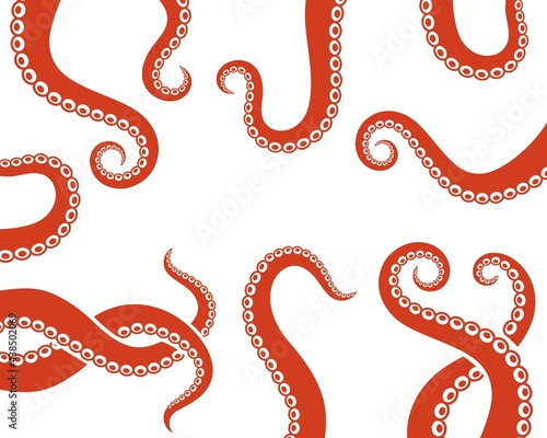 Octopus tentacles. Isolated octopus tentacles on white background