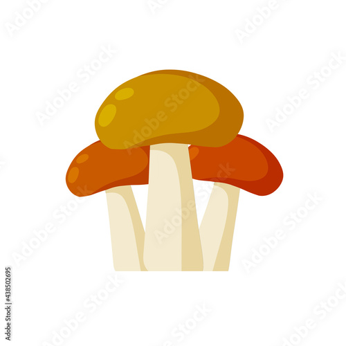 Group of Large mushroom with a brown cap. Natural cep. Food ingredient. Autumn harvest. Flat cartoon illustration