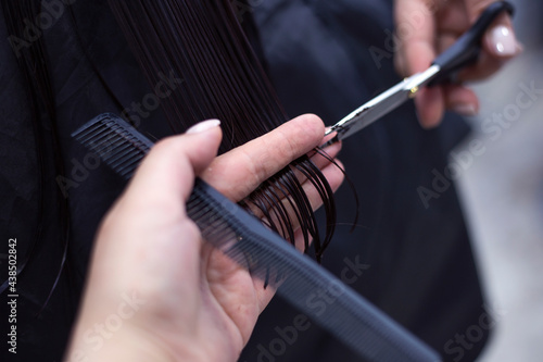 Woman getting a new haircut. Female hairstylist cutting her long black hair with scissors in hair salon