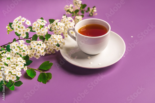 Floral spring composition and a mug of tea on a purple background, top view, copy space