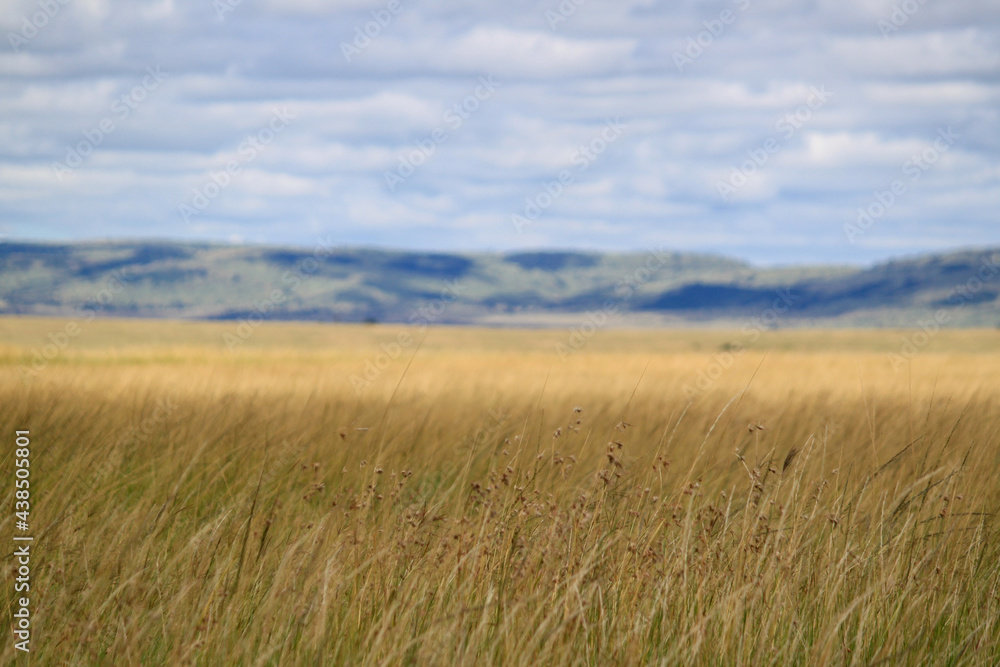 Maasai Mara National Park Safari Tour