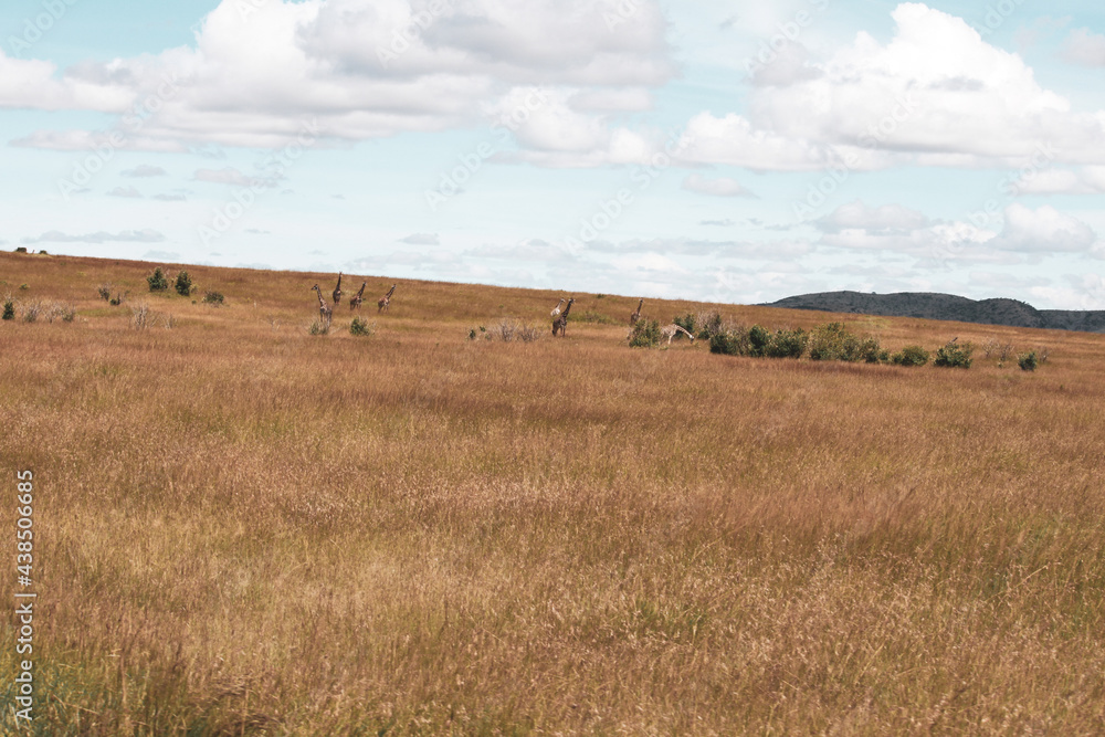 Maasai Mara National Park Safari Tour