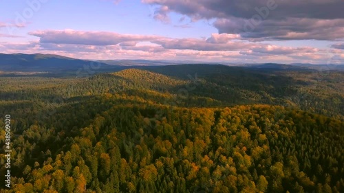 Flight over beautiful hills in Bieszczady mountains in Poland. photo