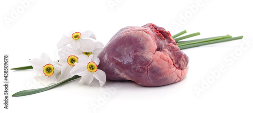 Fresh pork heart and white narcissus. photo