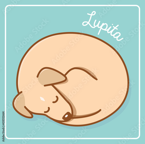 Sleepy cute dog
