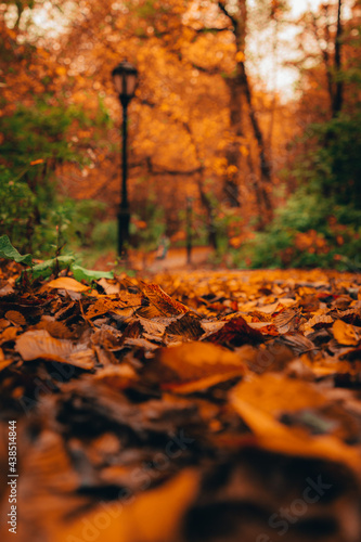 Autumn Photography, Nature, Fall Photography, Nature Photos, Autumn weather, Autumn Colors, Fall Colors