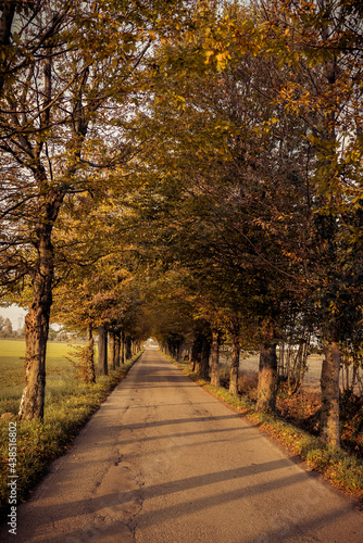 path in autumn