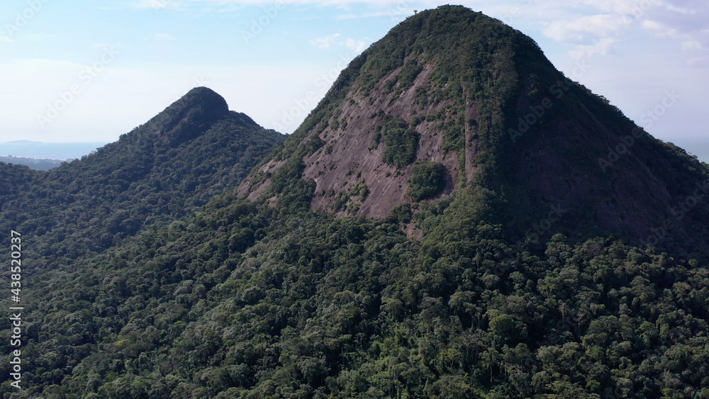 Mata Atlântica Floresta Meio Ambiente Brasil