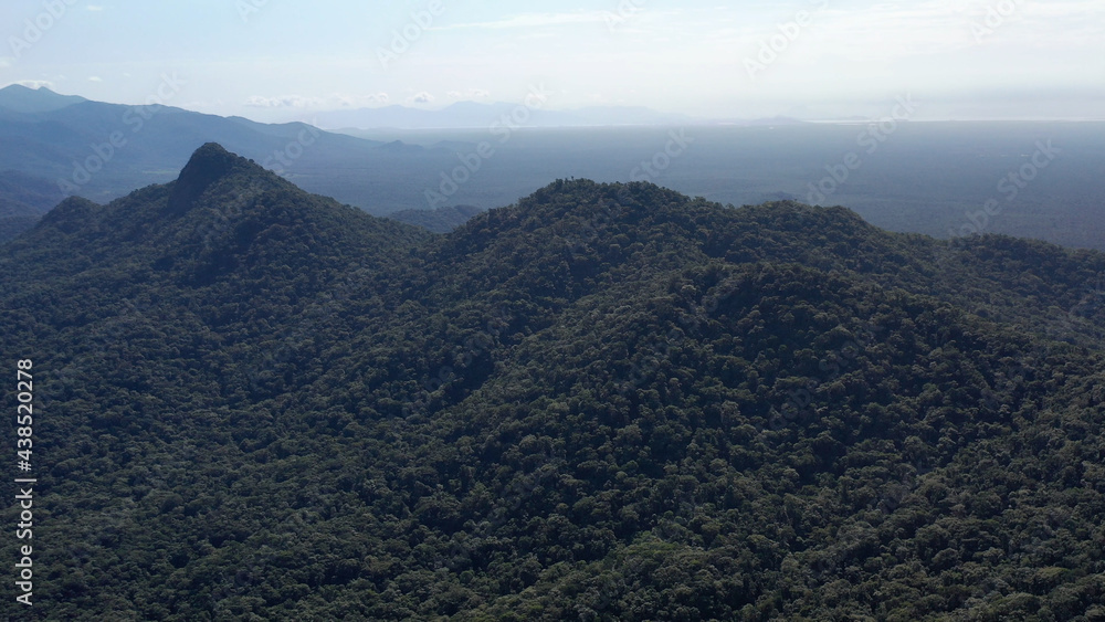 Mata Atlântica Floresta Meio Ambiente Brasil Mata Atlântica Floresta Meio Ambiente Brasil
