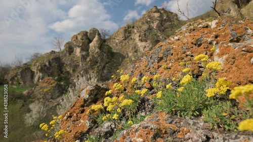 View to Duruitoare Gorge at springtime, Moldova photo