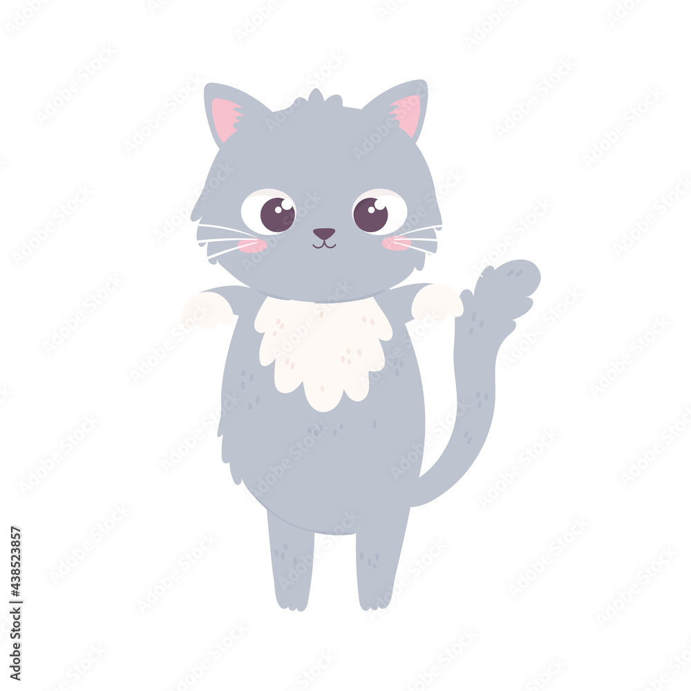 cute gray kitty cute gray kitty