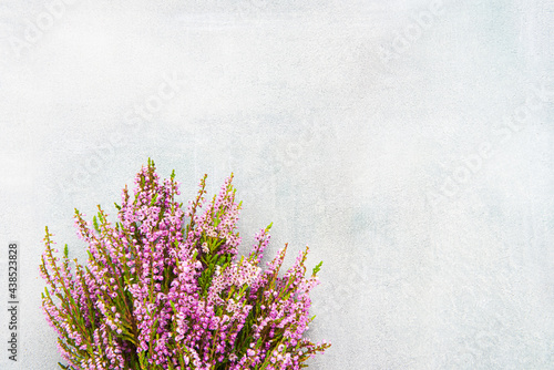 Pink Common Heather flowers bouquet on a light concrete background