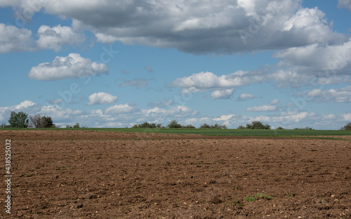 a stony field in swabian alb in springtime