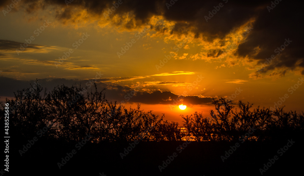 Fototapeta premium Orange sunset