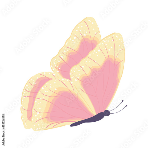 flying butterfly view
