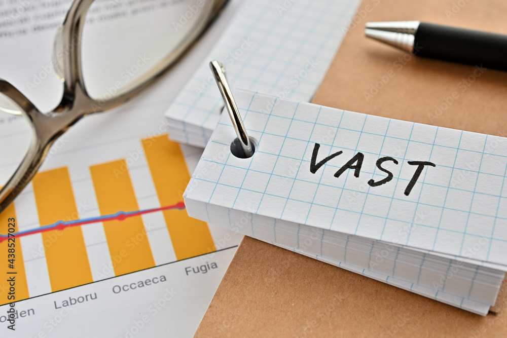 There is a word book with the word of VAST which is an abbreviation for There is a word book with the word of VAST which is an abbreviation for