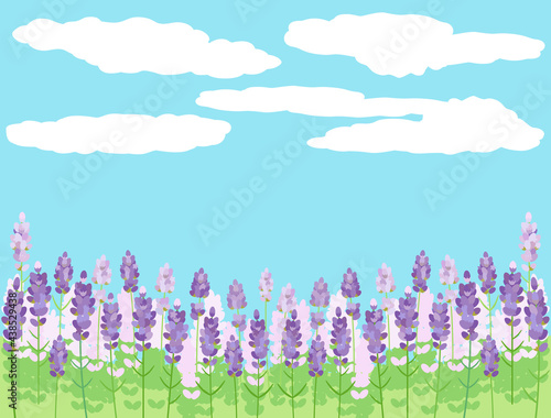 ラベンダー畑をイメージしたイラスト