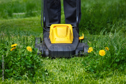 Gardener mowing grass in backyard with electric mower, front view