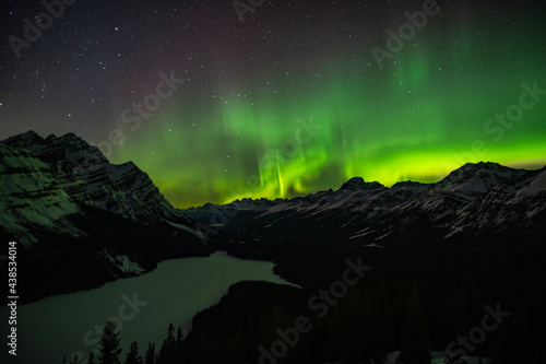 northern lights over the peyto lake photo