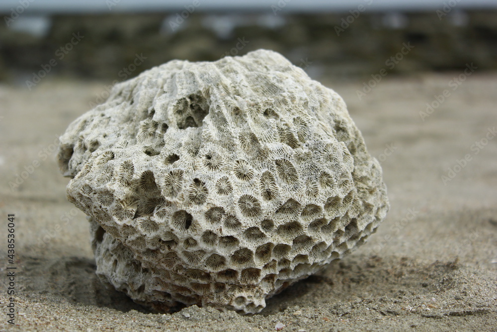 stones on the beach stones on the beach