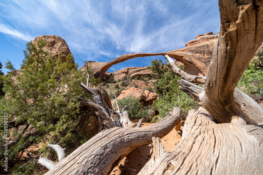 Landscape Arch along the Devils Garden trail in Arches National Park Utah Landscape Arch along the Devils Garden trail in Arches National Park Utah