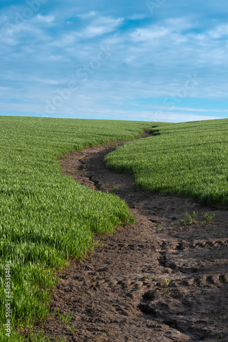 Soil erosion. The rains have eroded the soil in the agricultural field. Formation of ravines in the field due to rainwater runoff.