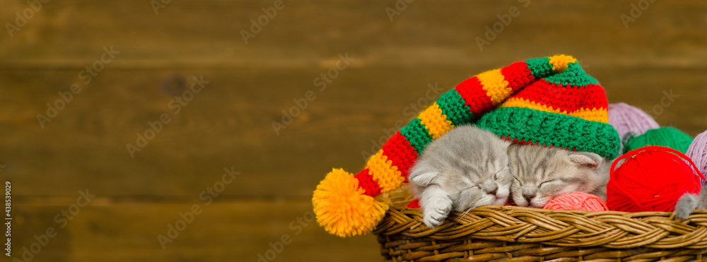 Cozy kittens wearing warm hat sleep together inside a basket on clews of thread. Empty space for text