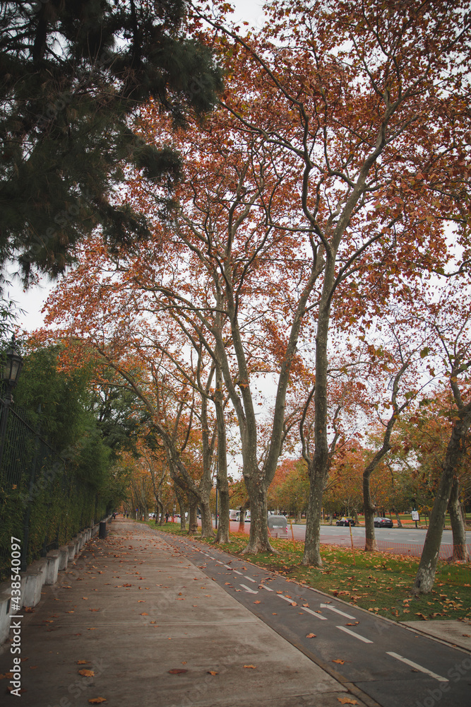 Fototapeta premium Avenida Sarmiento