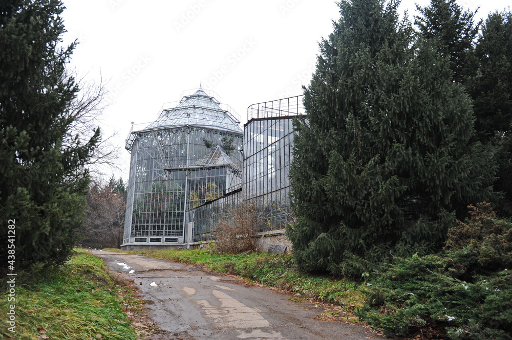 Obraz premium Coniferous plants are planted near the glass building of the greenhouse in the botanical garden