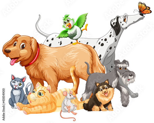 Group of pet on white background