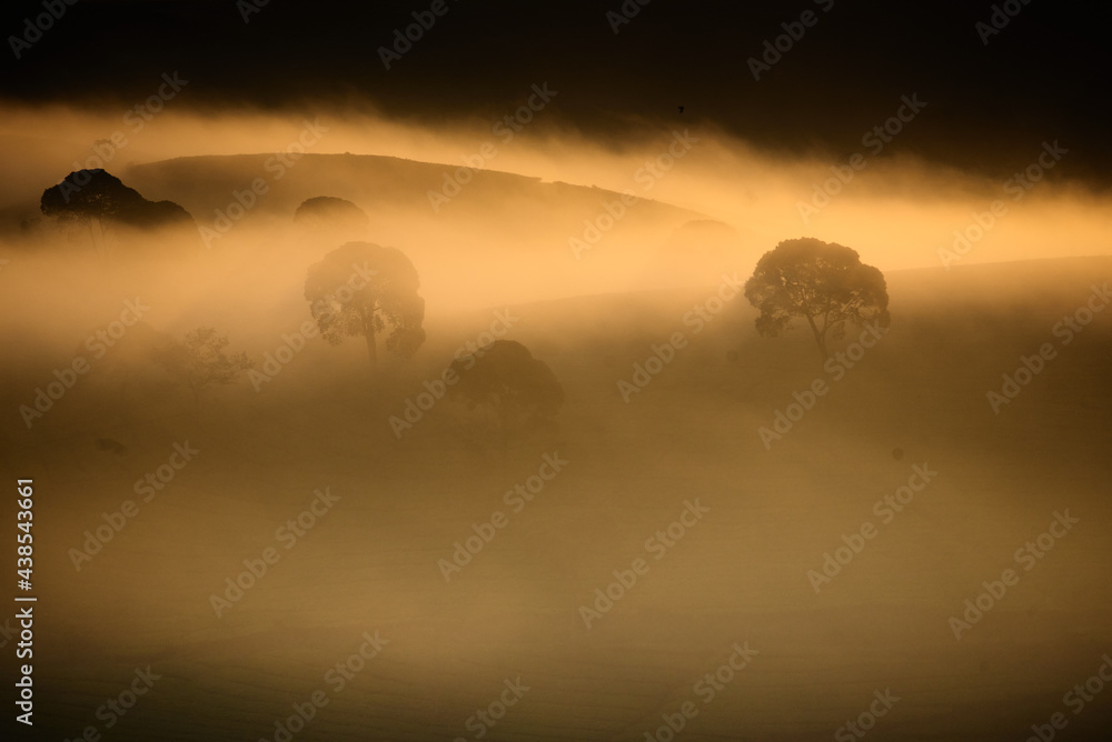 Obraz premium Beautiful view of cukul tea plantation located in West Java, Indonesia.