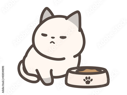 餌を食べない猫