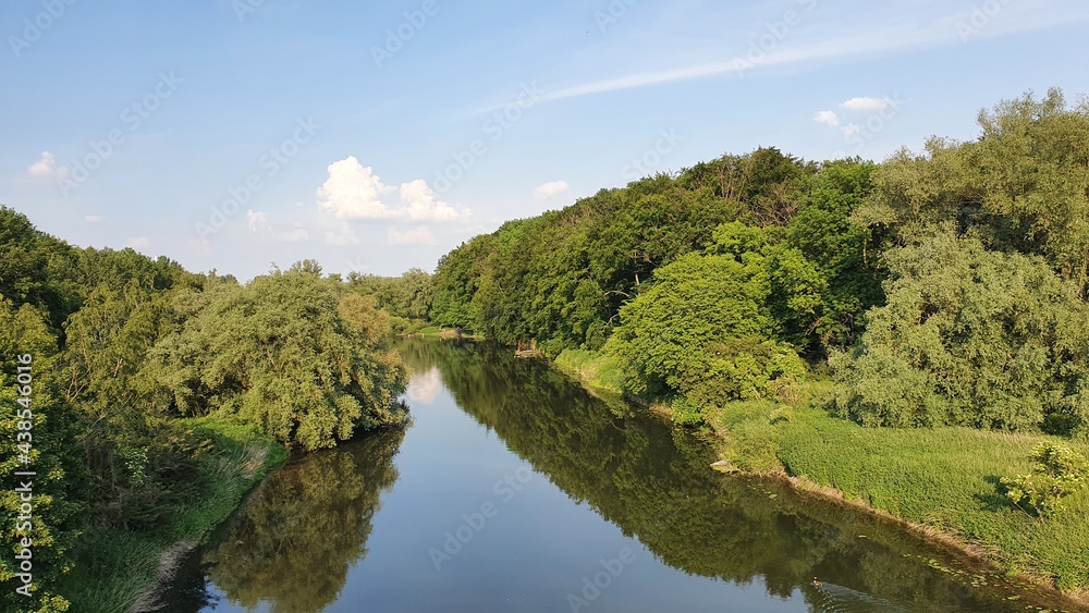 Fototapeta premium landscape with trees and river 
