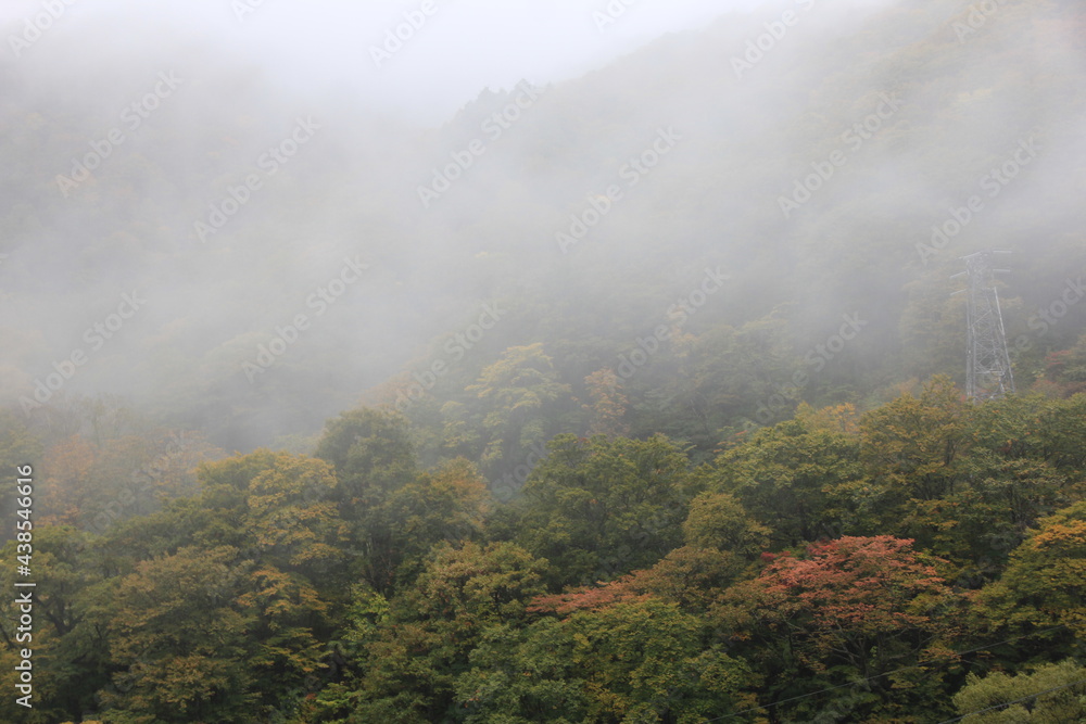 濃霧が立ち込める山