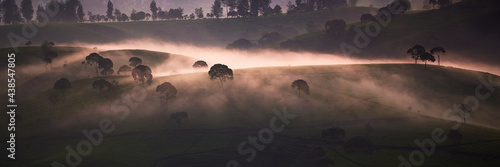 Beautiful view of cukul tea plantation located in West Java, Indonesia. photo