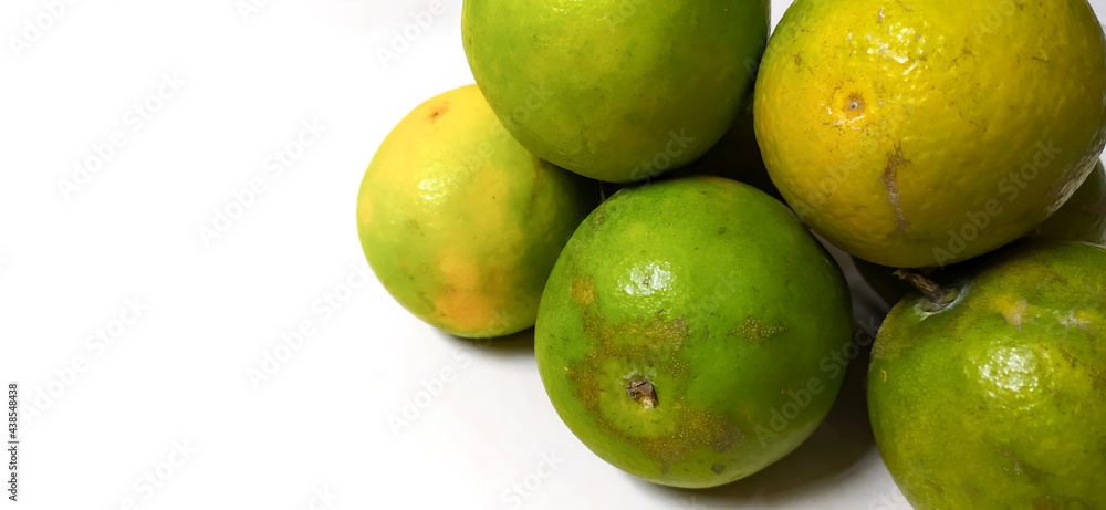 Lots of fresh green oranges neatly arranged on a white background. isolated few green oranges with copy space suitable for landing page or website.