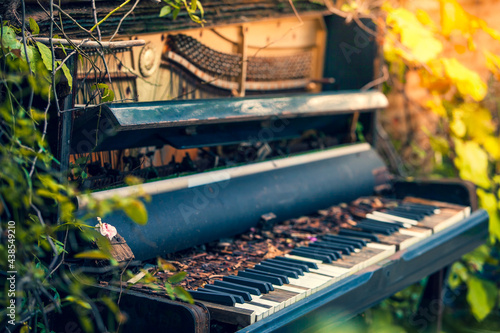 old piano in the garden