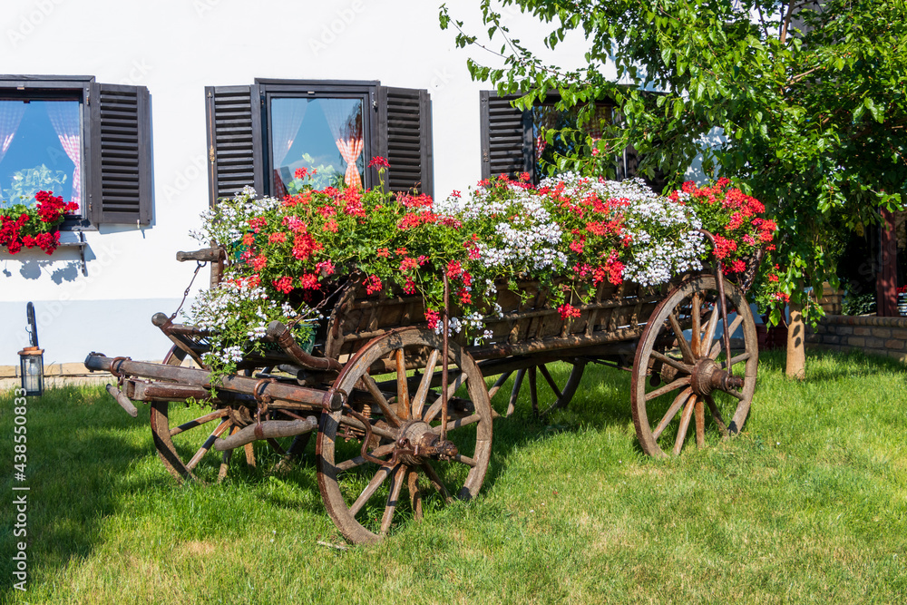 European vintage horse drawn wooden freight cart decorated with annual flowers