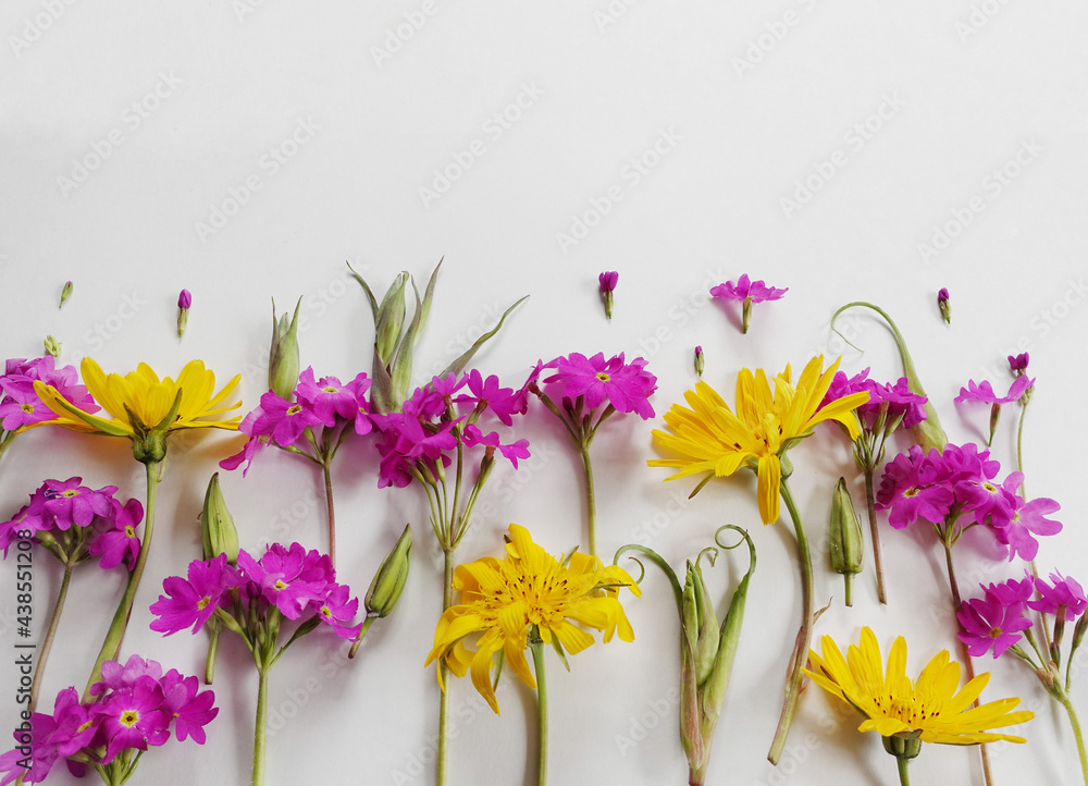 flowers of summertime flowers of summertime