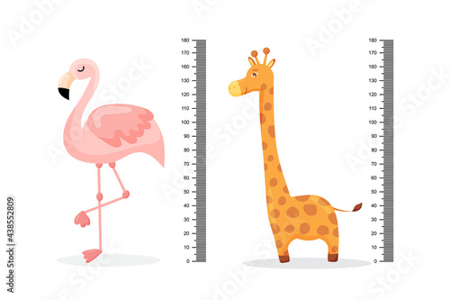 Kids meter wall with a cute cartoon flamingo, giraffe and measuring ruler. Vector illustration of an animal isolated.