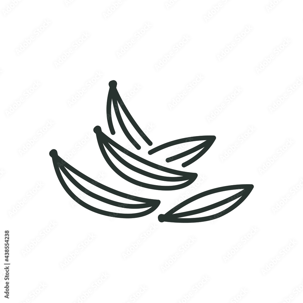 Spice cumin line icon. Simple outline style. Aromatic, brown, caraway, herb, cuisine, seed, diet, slim, nature aroma concept. Vector illustration isolated on white background. Thin stroke EPS 10.