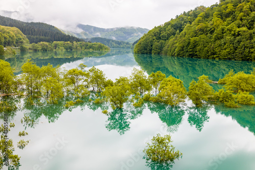 秋扇湖 水没林